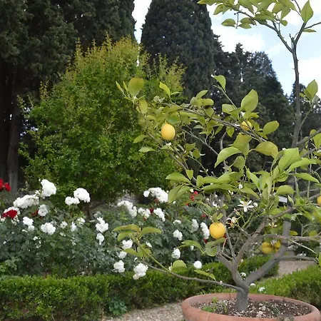 Villa Castello Pandolfini *